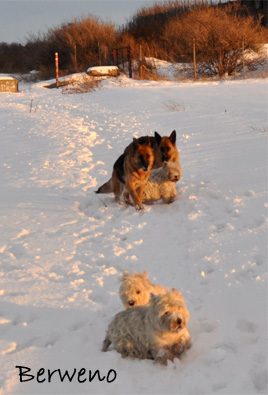 Zimní procházka - leden 2010