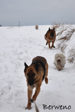 Zimní procházka - leden 2010