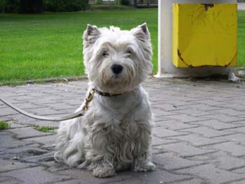 Myka - Pansk zahrada Hlohovec 2004