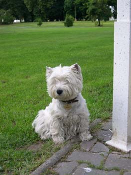 Myka - Pansk zahrada Hlohovec 2004