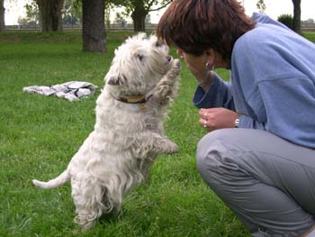 Myka - Pansk zahrada Hlohovec 2004