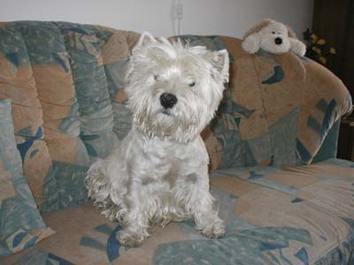 Myka