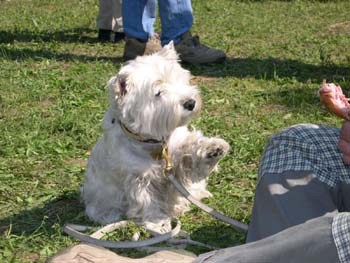 Myka ebrk - Nitra 2004