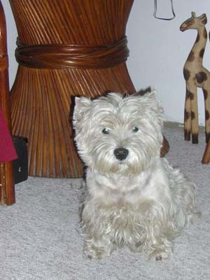 Myka